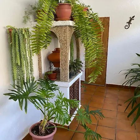 Casa En Mogán Las Burrillas